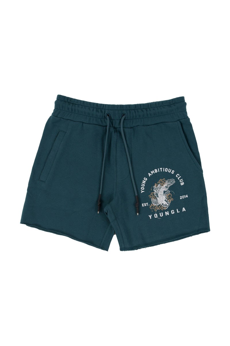 YoungLA 111 Dedication Kort Shorts Teal | 9634071-NC