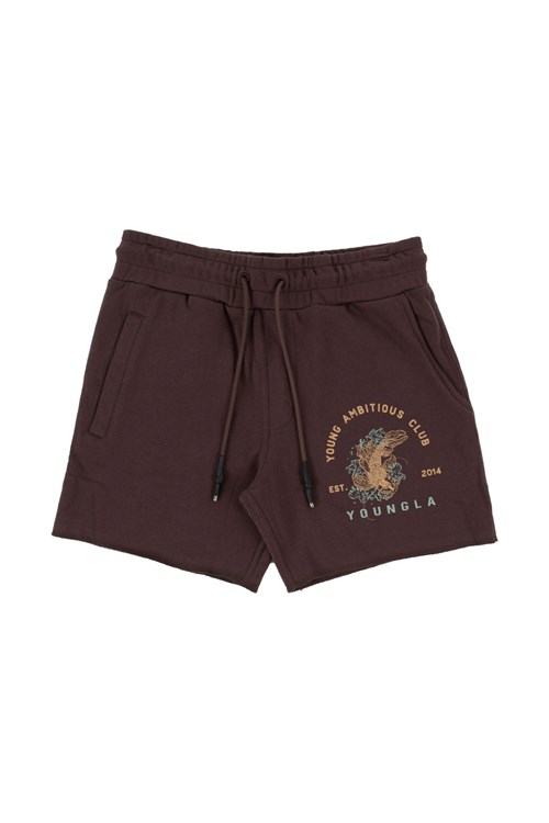 YoungLA 111 Dedication Kort Shorts Bruin | 9504783-OF