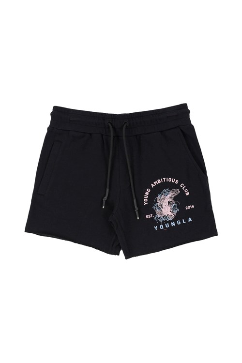 YoungLA 111 Dedication Kort Shorts Zwart | 0946318-HL